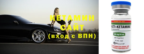 гашик Алексин