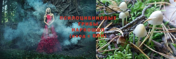 гидра Пестово