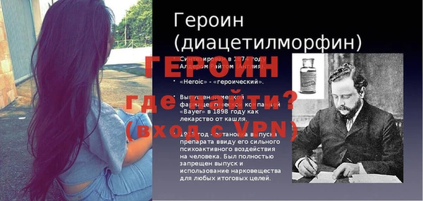 гашик Алексин