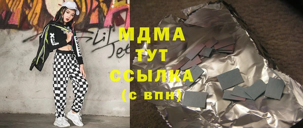 гашик Алексин