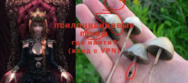 гашик Алексин
