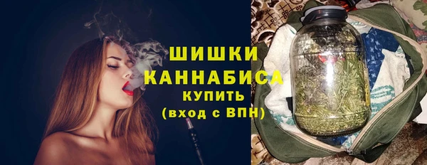 СК Пересвет