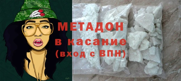 гашик Алексин